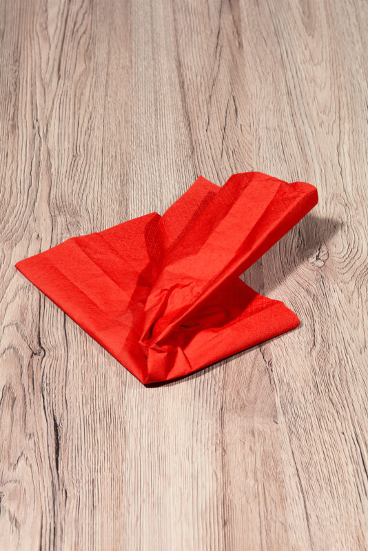 Serviett_Foto_CatharinaCaprino-534x800