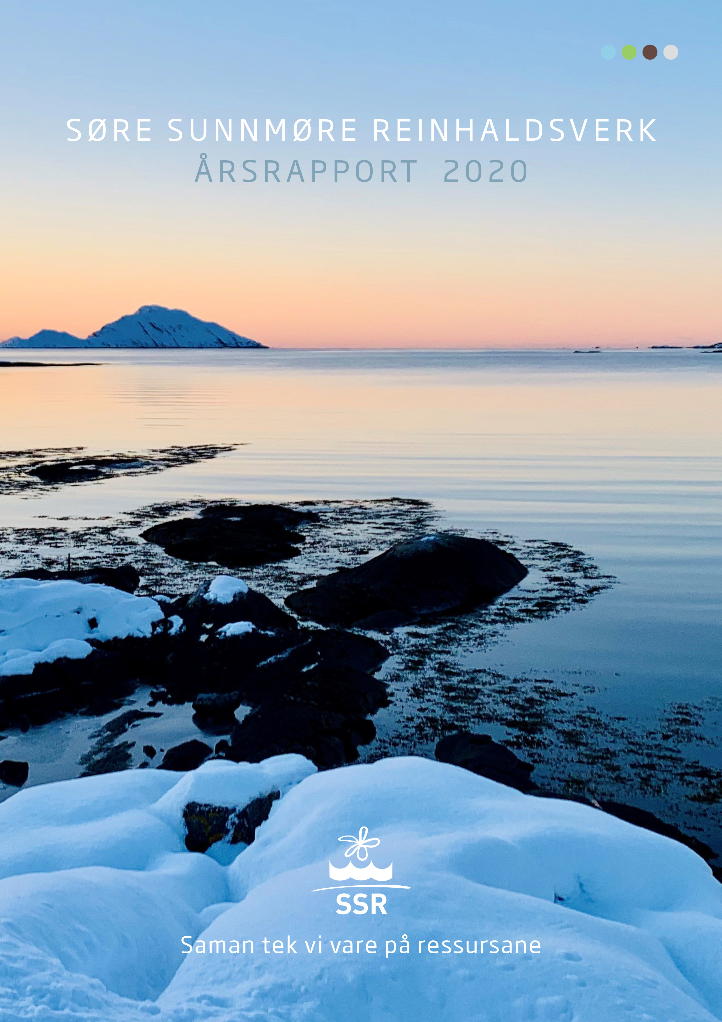 Årsrapport 2020 framside